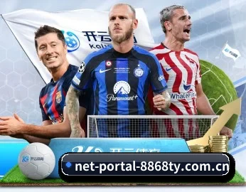 net-portal-8868ty.com.cn的故事