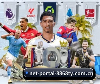 net-portal-8868ty.com.cn APP